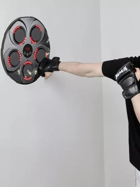 Настінний боксерський тренажер з підсвічуванням та музикою і лічильником ударів, 9 режимів, 9 швидкостей N-203-16 фото